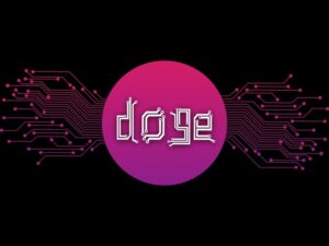$50 Million Injection: Here’s Why The Dogecoin Price Could See An Explosive Rally