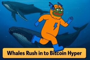 Over $307K Bought in a Day: Why Are Whales Rushing to Bitcoin Hyper?