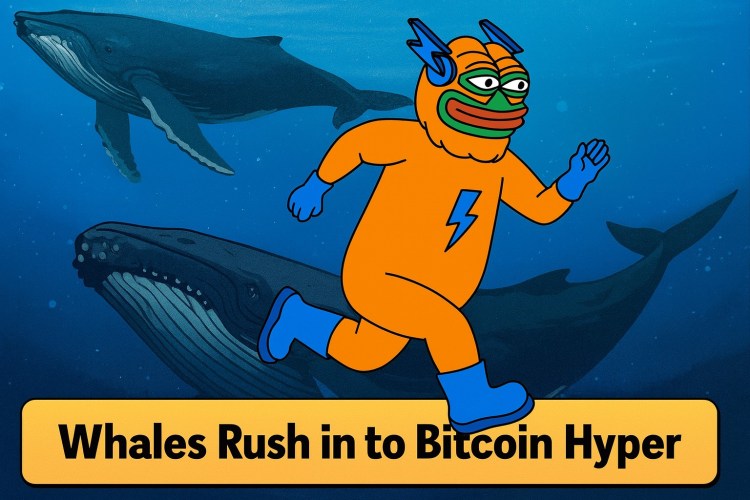 Over $307K Bought in a Day: Why Are Whales Rushing to Bitcoin Hyper?