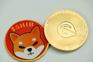 Could Shiba Inu Triple? Analyst Sees 200% Move Coming