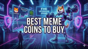 Best Meme Coins To Buy Before the Shibarium 2026 Privacy Upgrade