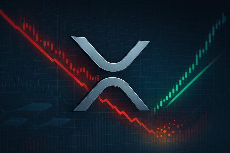 XRP Jumps To $2.56 Despite 240% Increase In Profit Taking