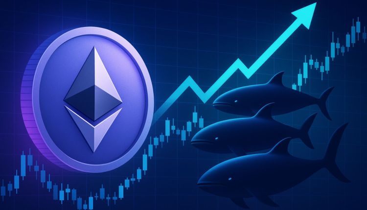 Smart Whales Align: Top Performers Go All-In On Ethereum Long Positions With Over $425M in Exposure