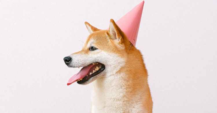 Dogecoin’s Dozen Years: King Of Meme Coins Marks 12th Birthday In Rough Markets