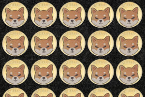 Here’s Why The Shiba Inu Price Jumped Over 13%