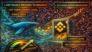 XRP Whale Inflows To Binance Hit Their Lowest Level Since 2021: Accumulation Behavior?