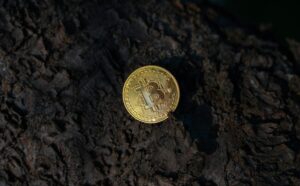 Bitcoin Should Be Flying—Instead, Quantum Risk Keeps It Grounded: Analyst