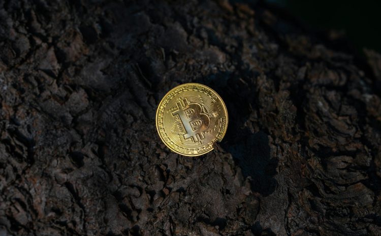 Bitcoin Should Be Flying—Instead, Quantum Risk Keeps It Grounded: Analyst