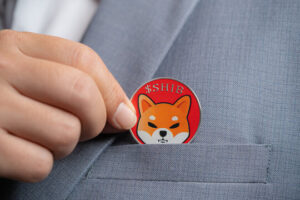 How Much Will Shiba Inu Price Be If Dogecoin Hits $10?