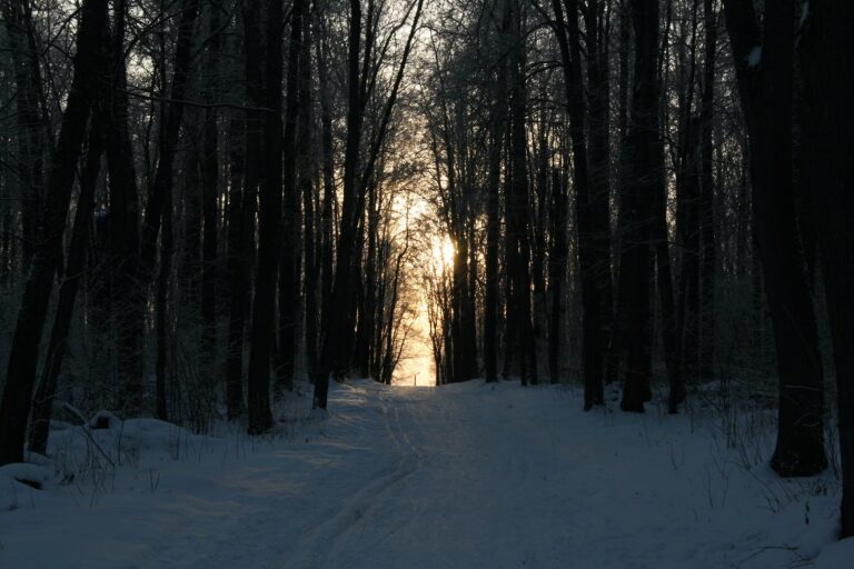 Bitcoin Faces Familiar Crossroads As Midterm Cycle Turns Bearish: Analyst