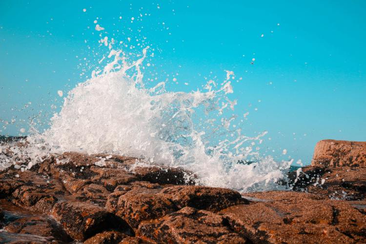 More Than 40% Of Altcoins Are Hitting Rock Bottom — And Experts Say It’s Worse Than The Last Crash