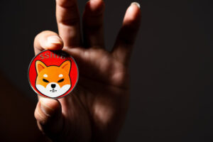 Recent Developments Show Why The Shiba Inu Price Keeps Crashing