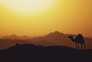 Shariah-Compliant Stablecoin PUSD Moves Into MidEast Institutional Arena