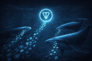 Top Toncoin Whales Silently Accumulate 189,730 TON Despite Market Weakness